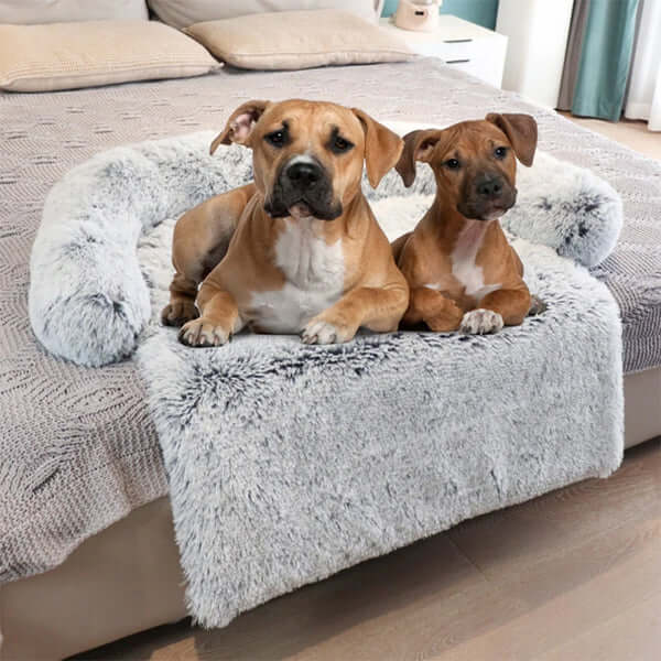 Rest & Relaxation
