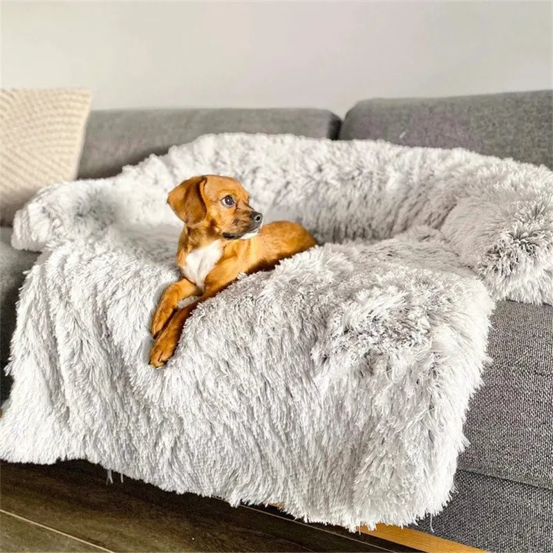 Cozy Plush Bed - Barks Corner